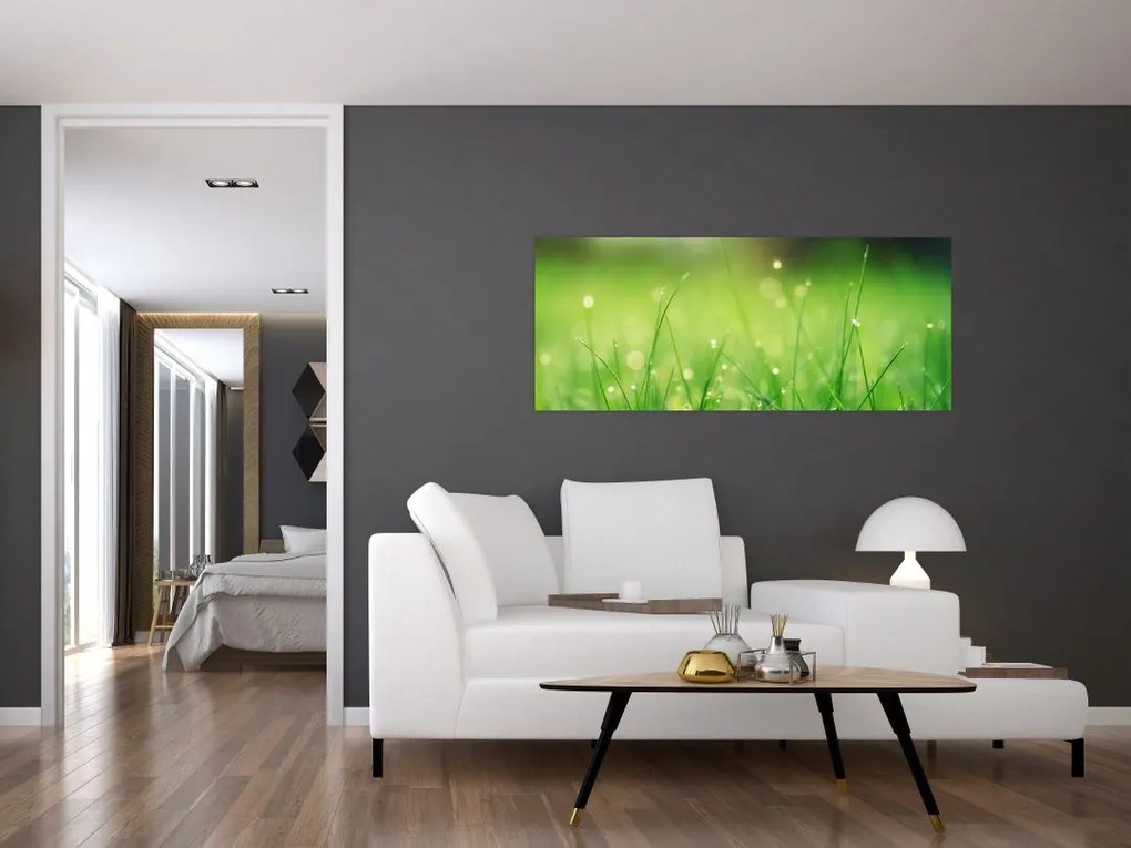 Tablou - roua pe iarbă (120x50 cm)