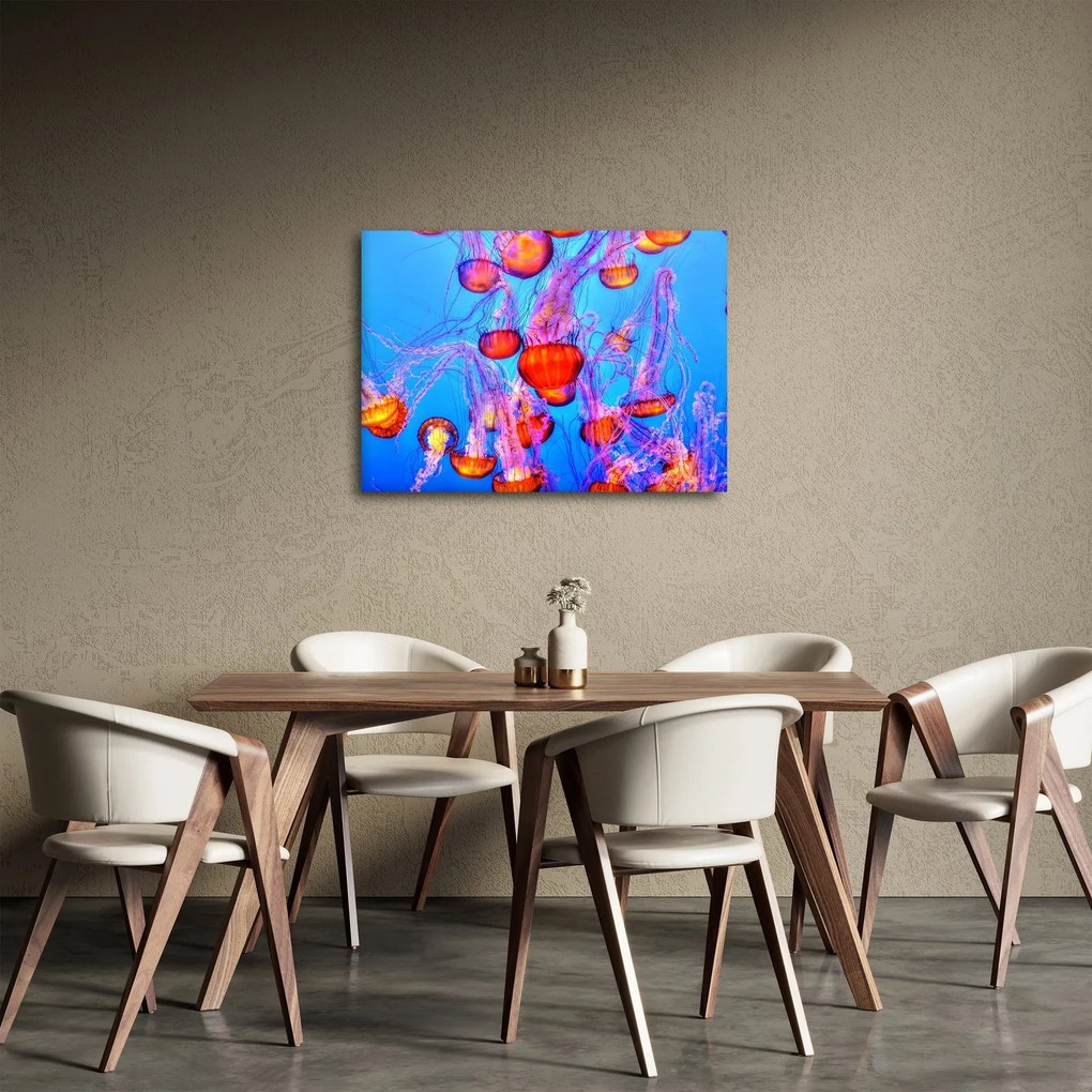 Tablou cu meduse în mare (70x50 cm)