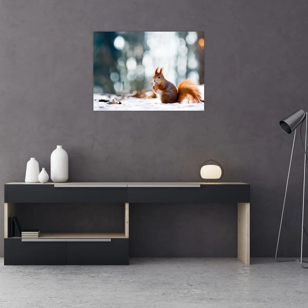 Tablou - Veveriță (70x50 cm)