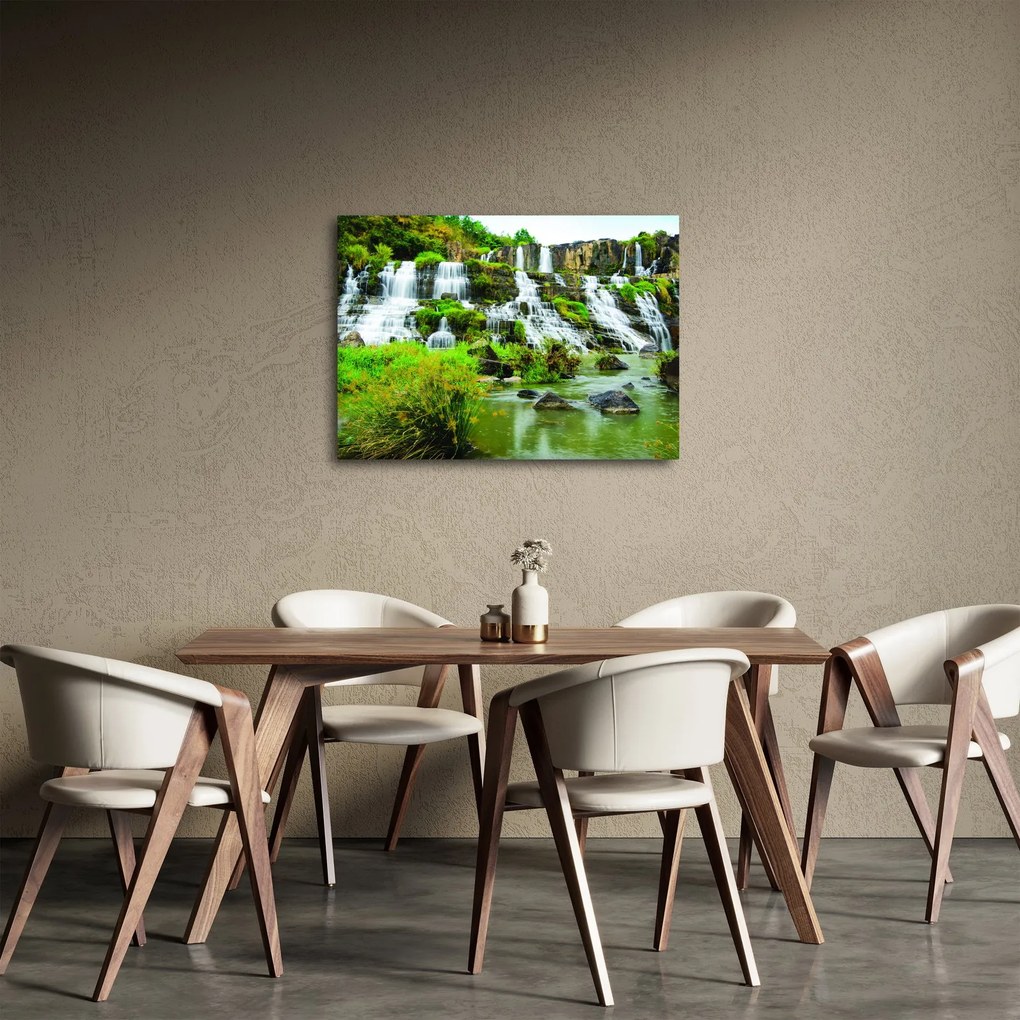 Tablou - cascade cu plante (70x50 cm)