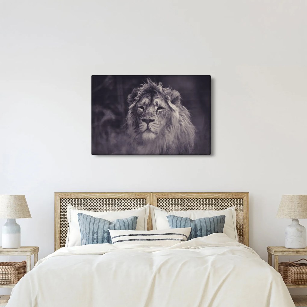 Tablou cu leu (90x60 cm)
