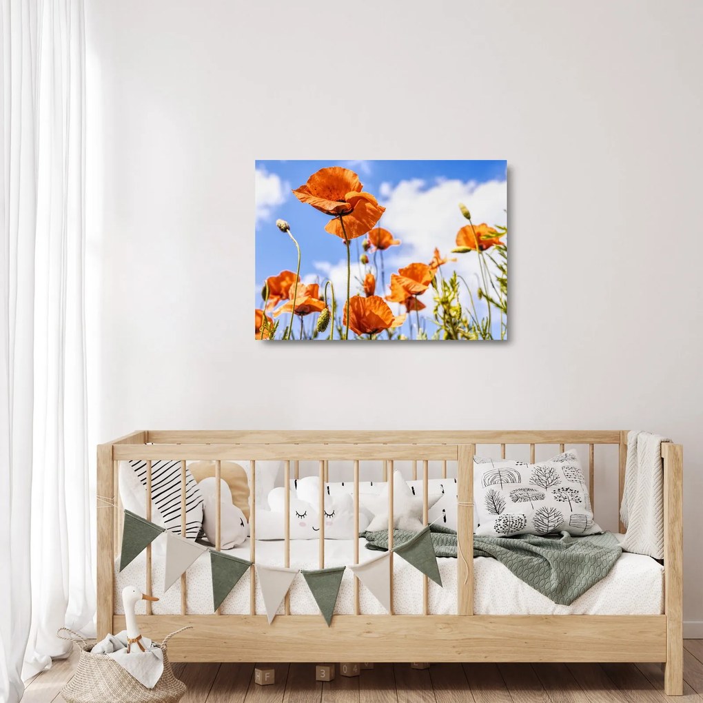Tablou pe sticlă cu macii (70x50 cm)