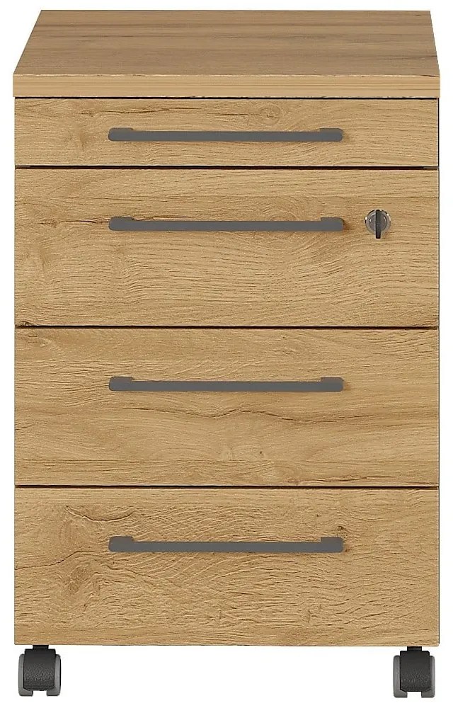 Dulap gri antracit cu aspect de lemn de stejar 42x61 cm Agenda – Germania