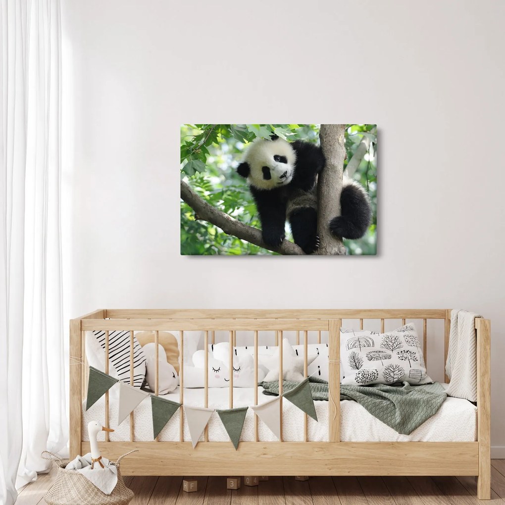 Tablou - Panda in copac (90x60 cm)