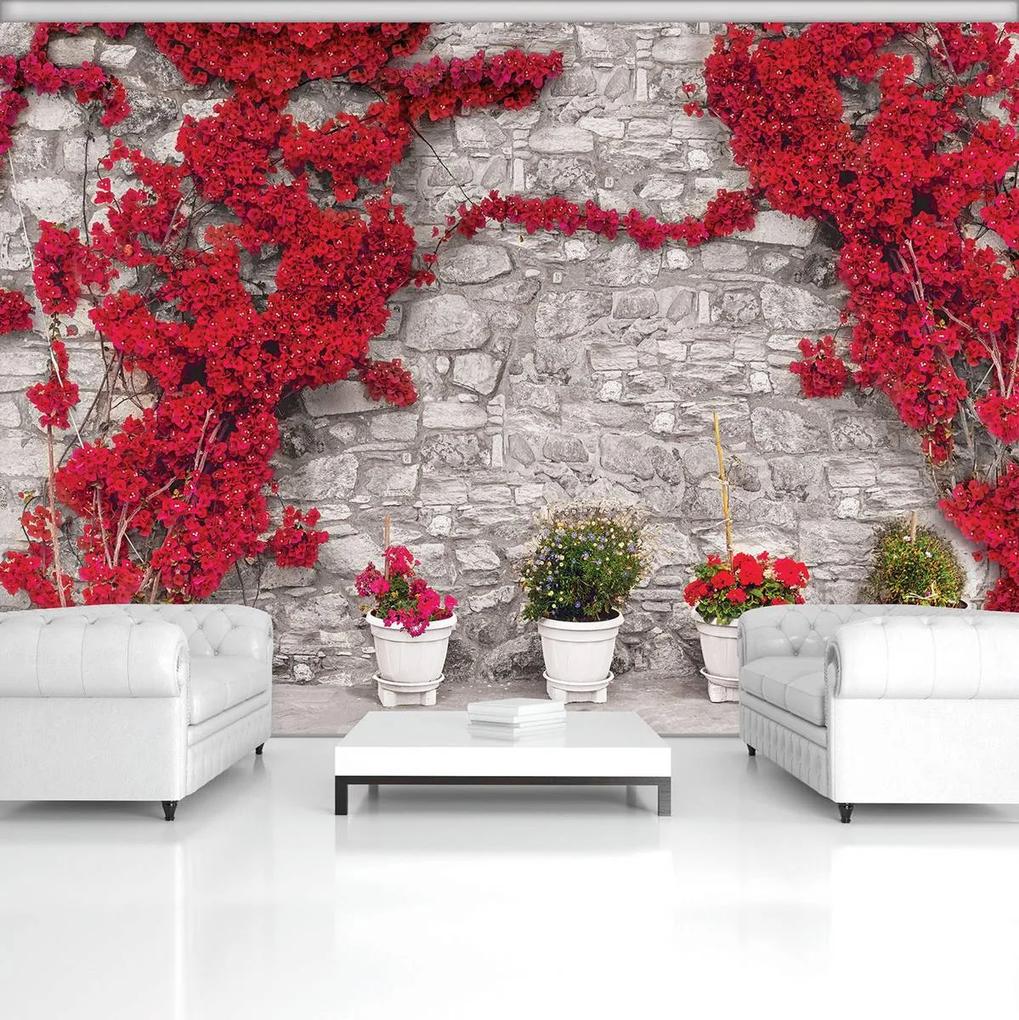 Fototapet - Plante care se întind pe perete din piatră (254x184 cm), în 8 de alte dimensiuni noi