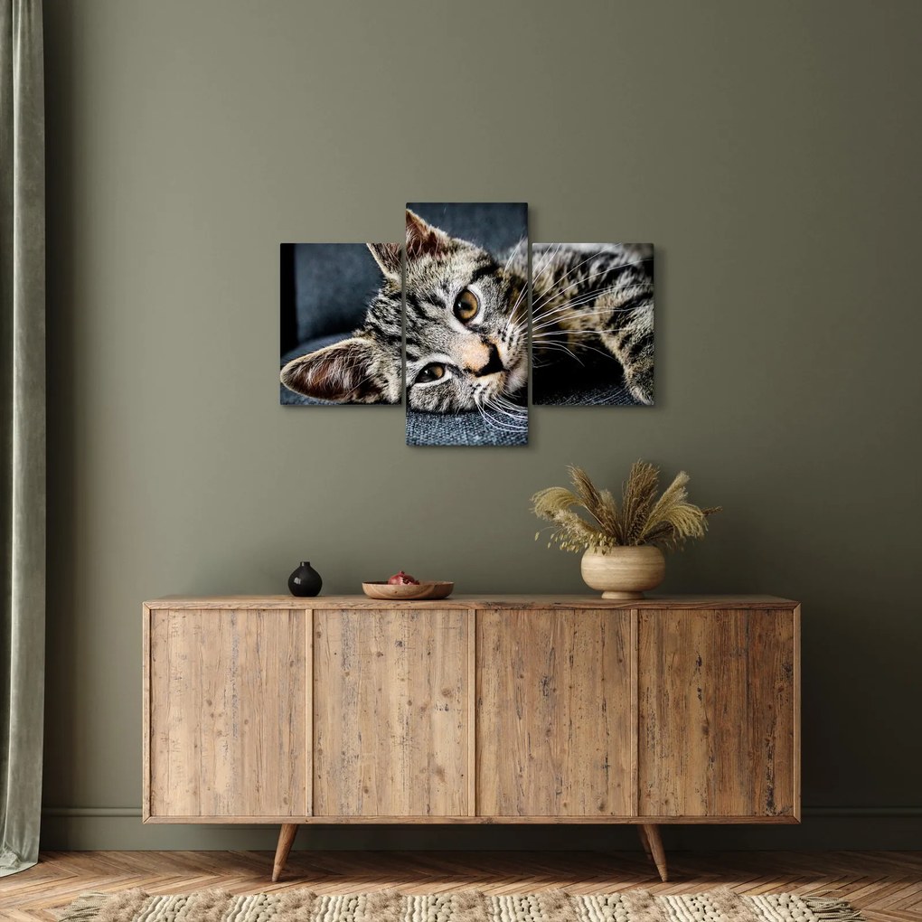 Tablou - Pisoi (90x60 cm)
