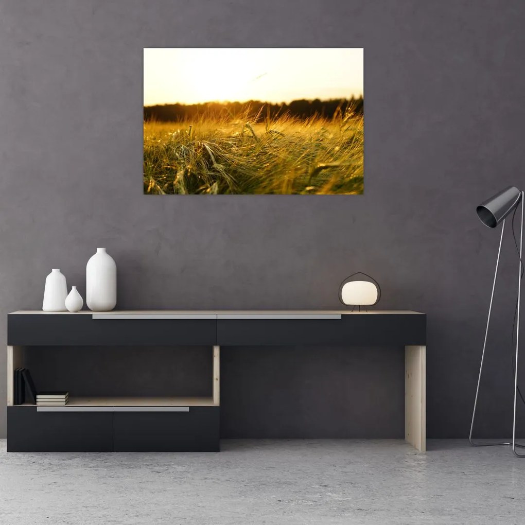 Tablou iarba cu rouă (90x60 cm)