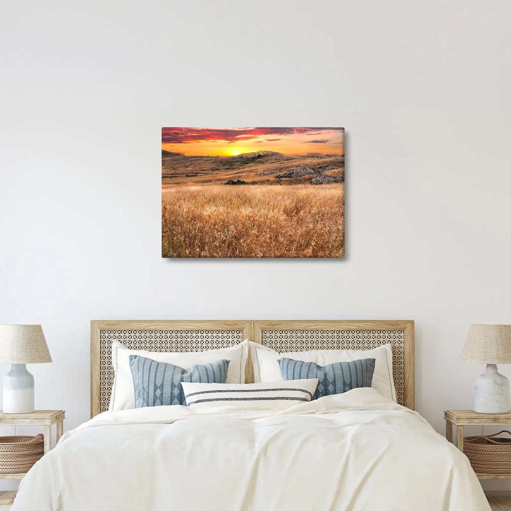 Tablou cu câmp (70x50 cm)