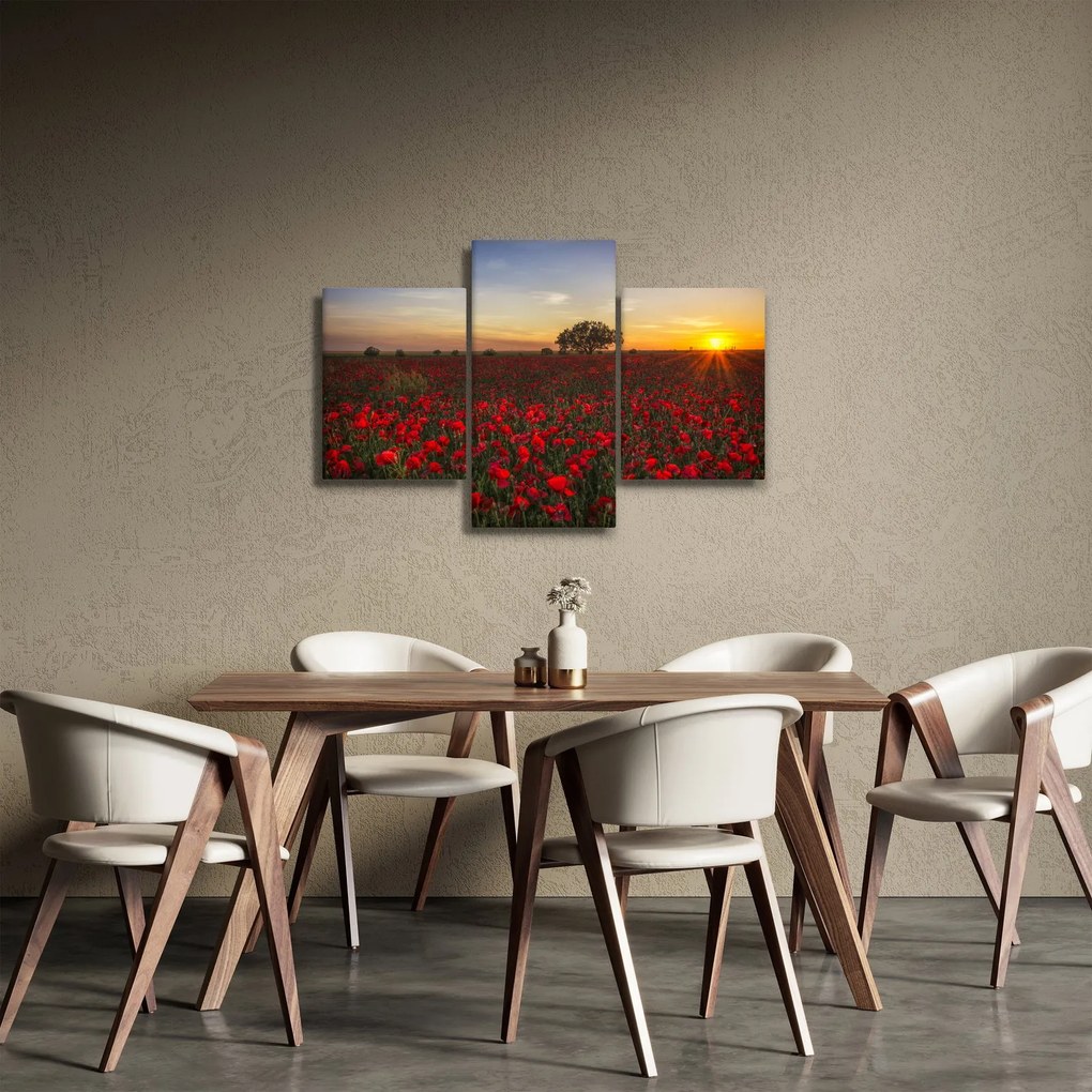 Tablou cu lunca și macii (90x60 cm)