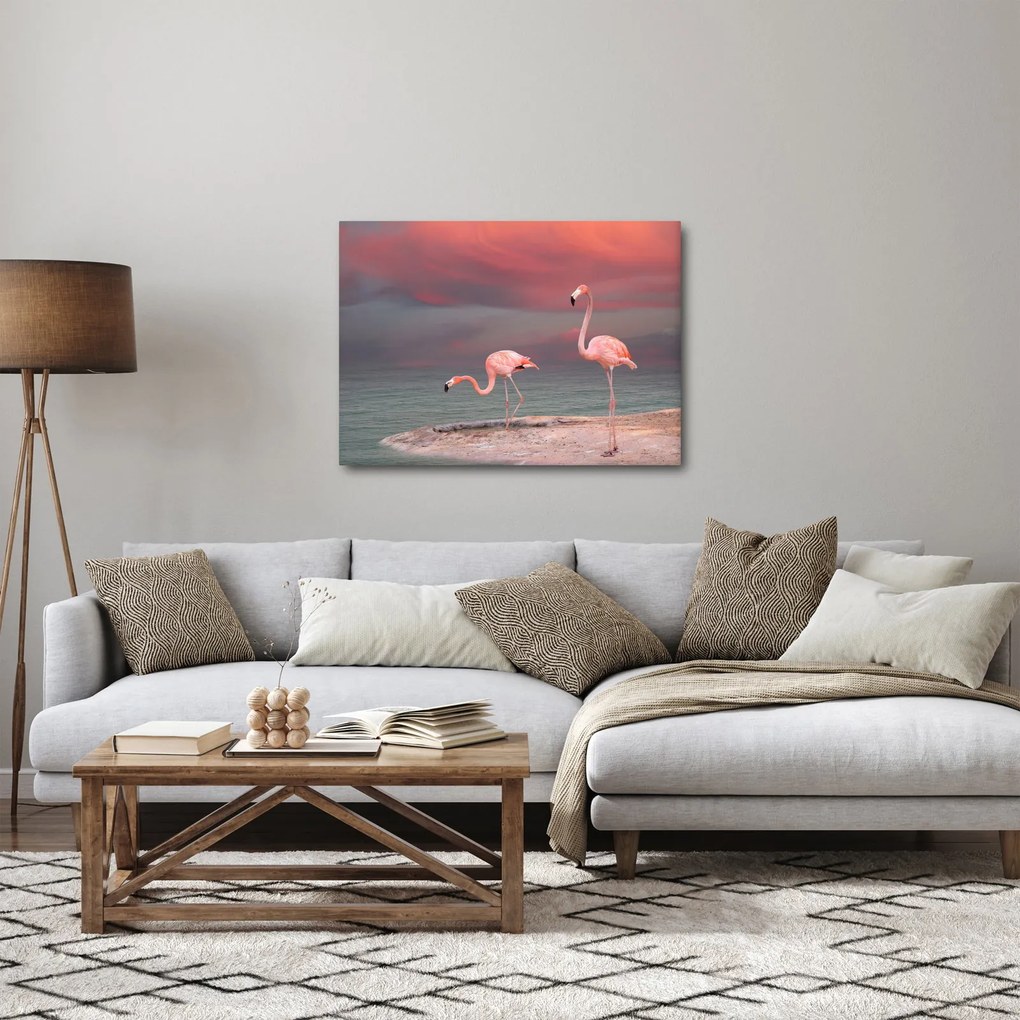 Tablou - Flamingo (70x50 cm)
