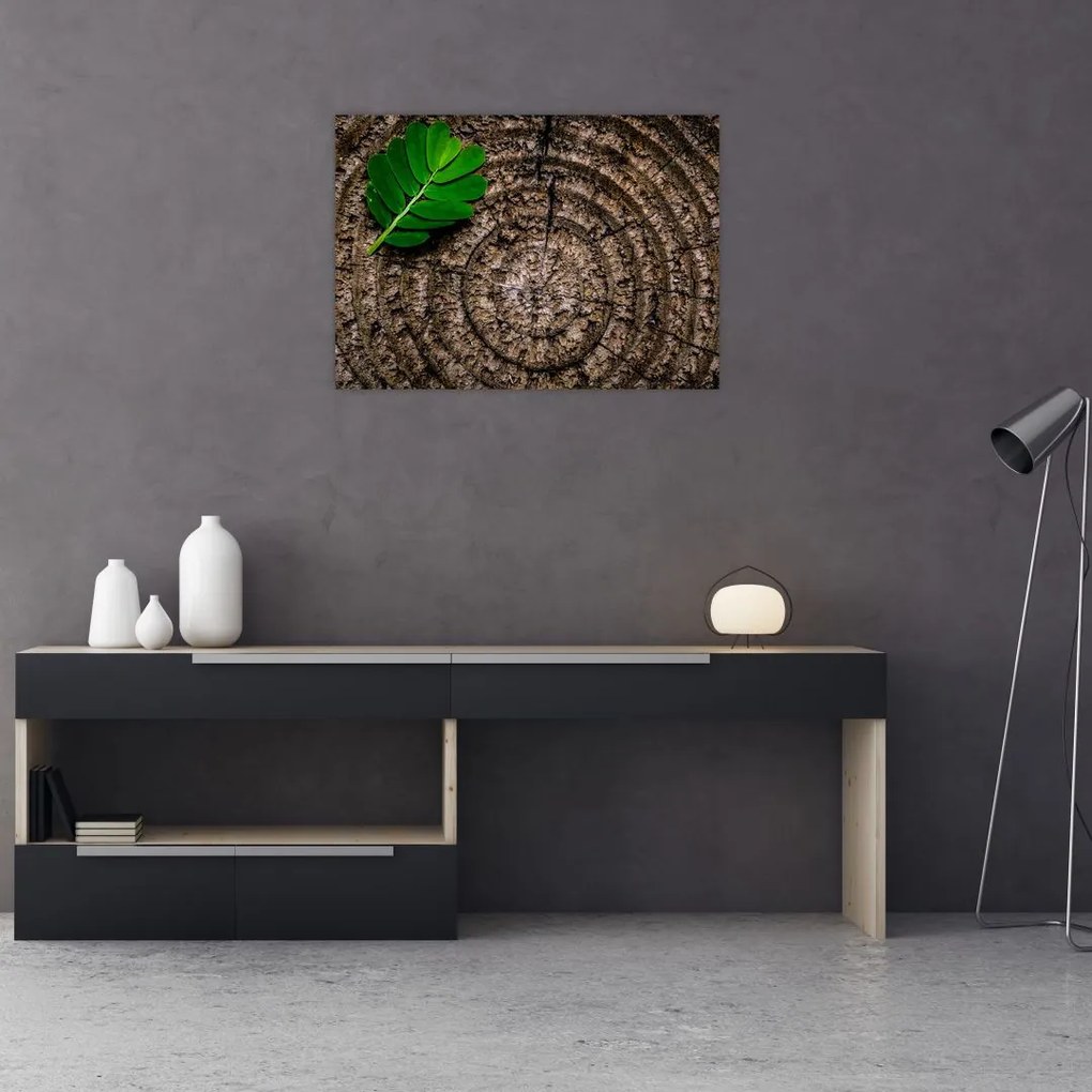 Tablou cu frunză pe trunchi de copac (70x50 cm)