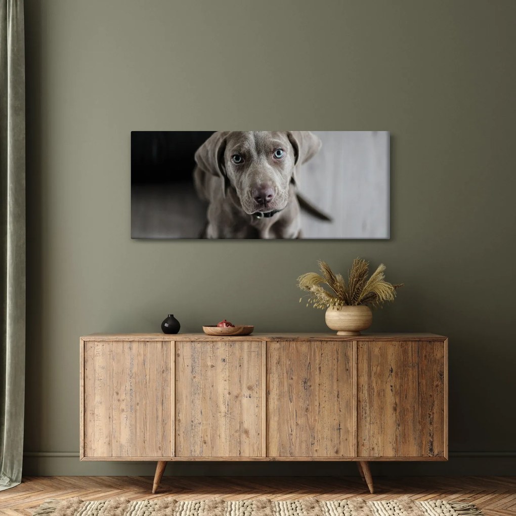Tablou cu cățeluș (120x50 cm)