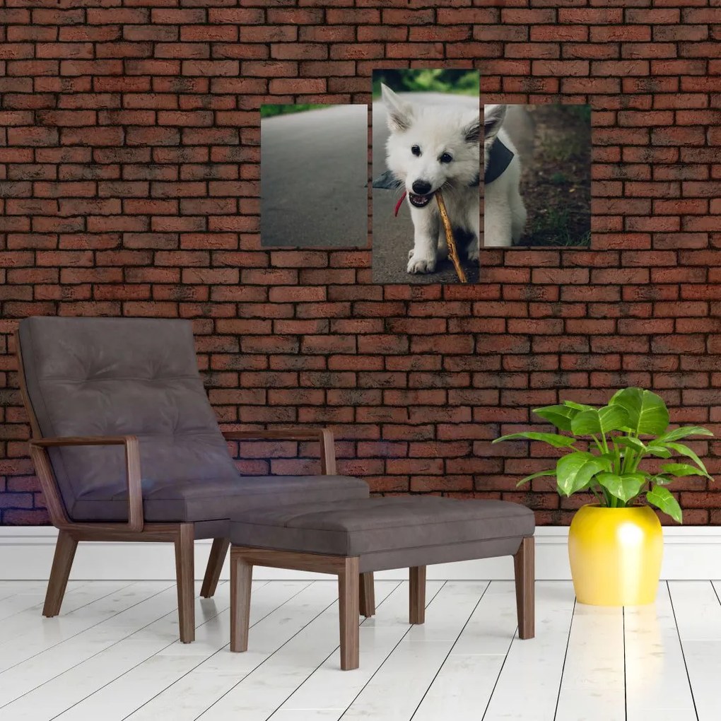 Tablou cu câinele alb (90x60 cm)