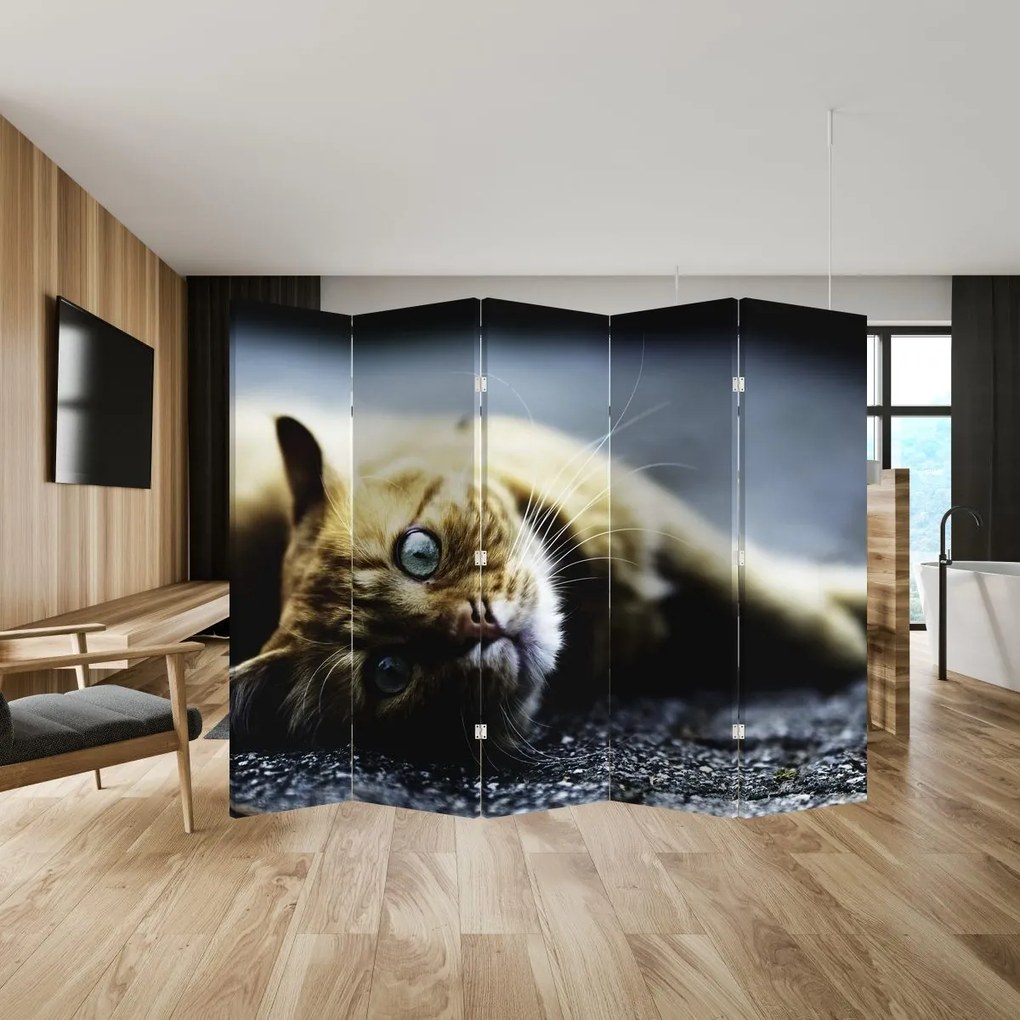 Paravan - Pisica (210x170 cm)