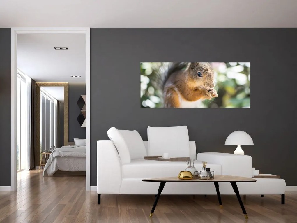 Tablou cu veverița (120x50 cm)