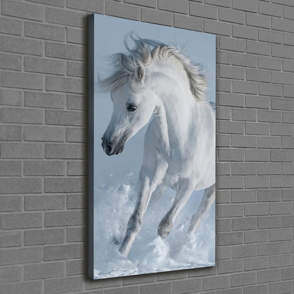 Tablou pe pânză canvas Cal alb în galop