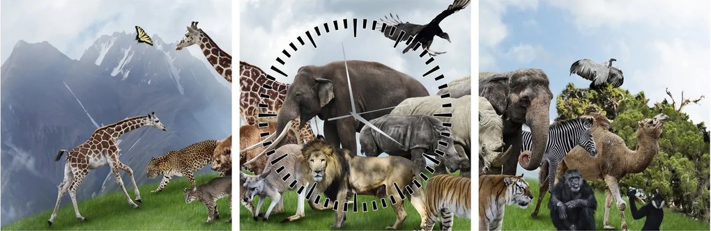 Tablou - Animale pe insulă (cu ceas) (90x30 cm)
