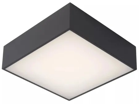 Plafonieră LED pentru baie Lucide 27816/10/29 ROXANE LED/12W/230V IP54