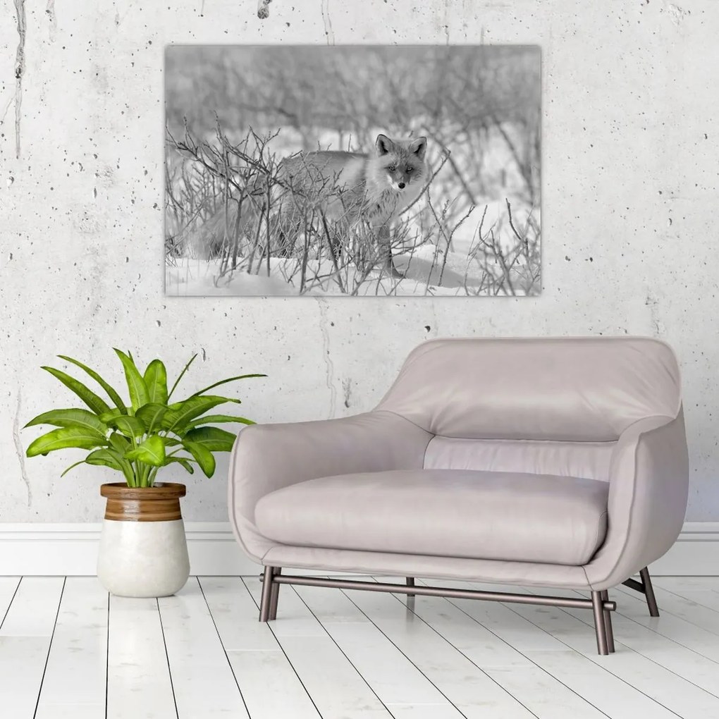 Tablou - Vulpe,alb-negru (90x60 cm)