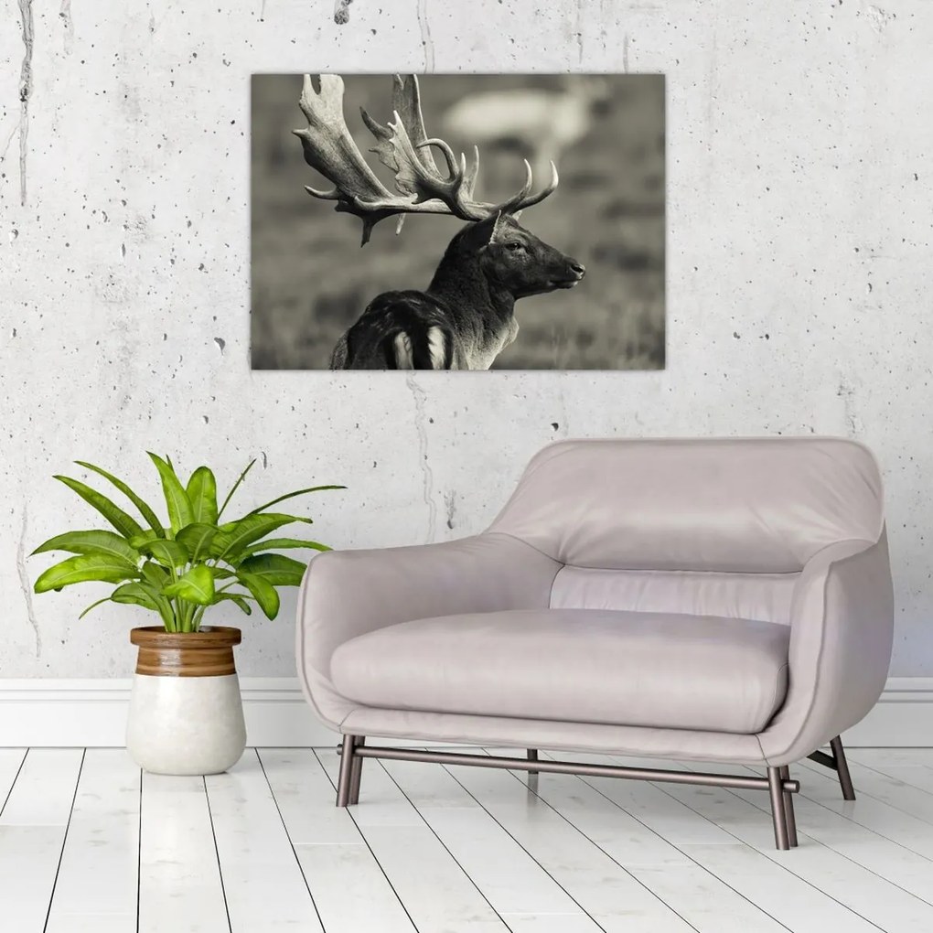 Tablou - Cerb (70x50 cm)