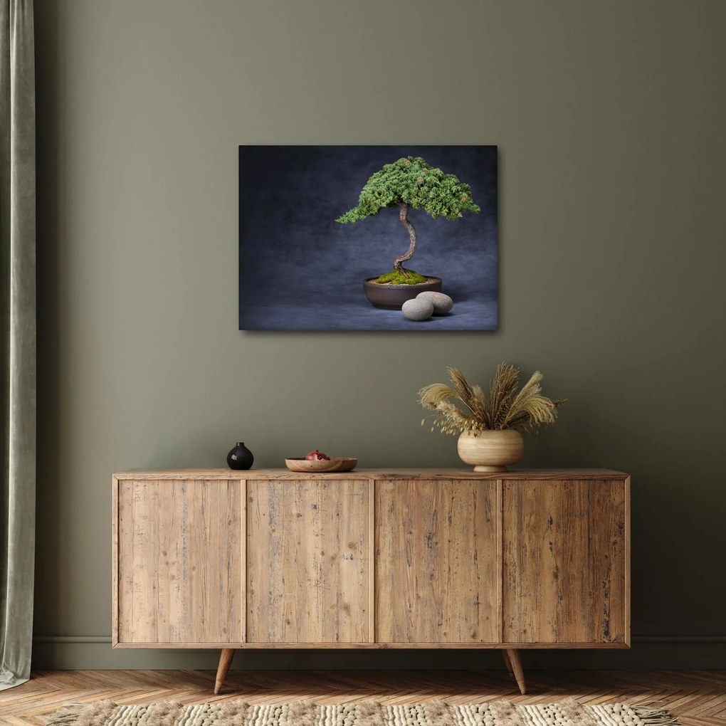Tablou - Bonsai (70x50 cm)