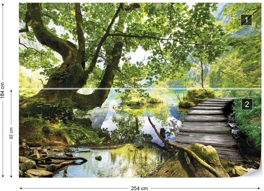 Fototapet GLIX - Forest Lake Path + adeziv GRATUIT Tapet nețesute - 254x184 cm