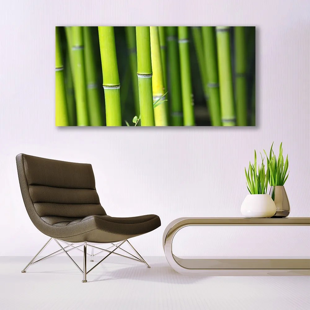 Tablou pe panza canvas Bamboo Natura Verde