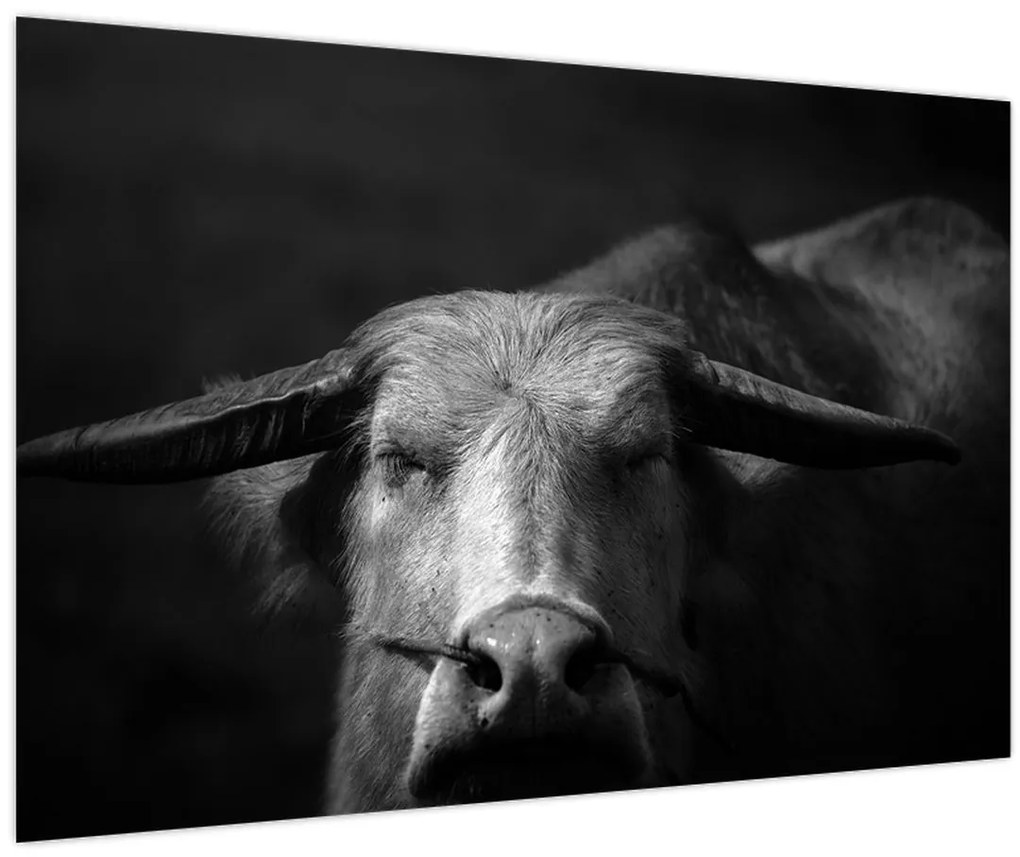 Tablou - Vacă (90x60 cm)