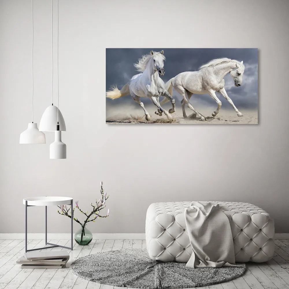 Tablou acrilic White beach horse