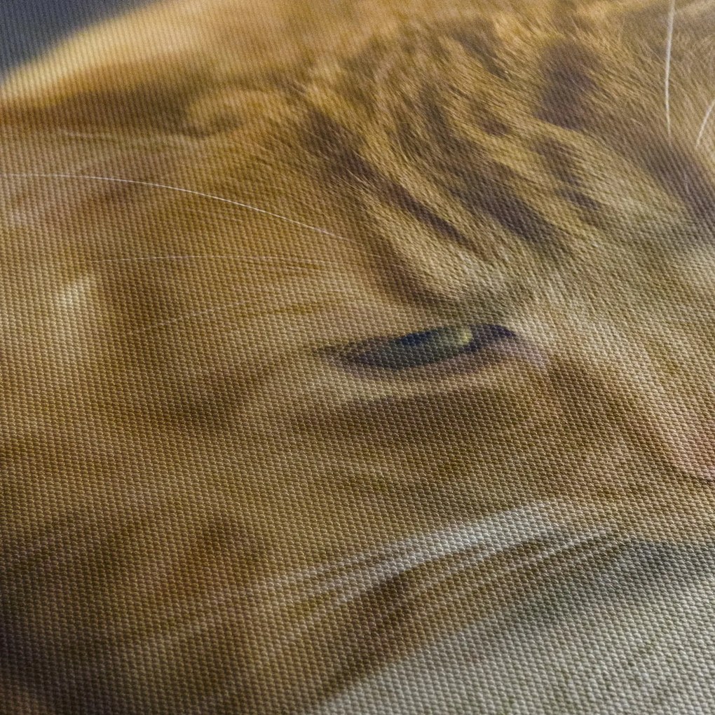 Tablou cu pisica (cu ceas) (90x30 cm)