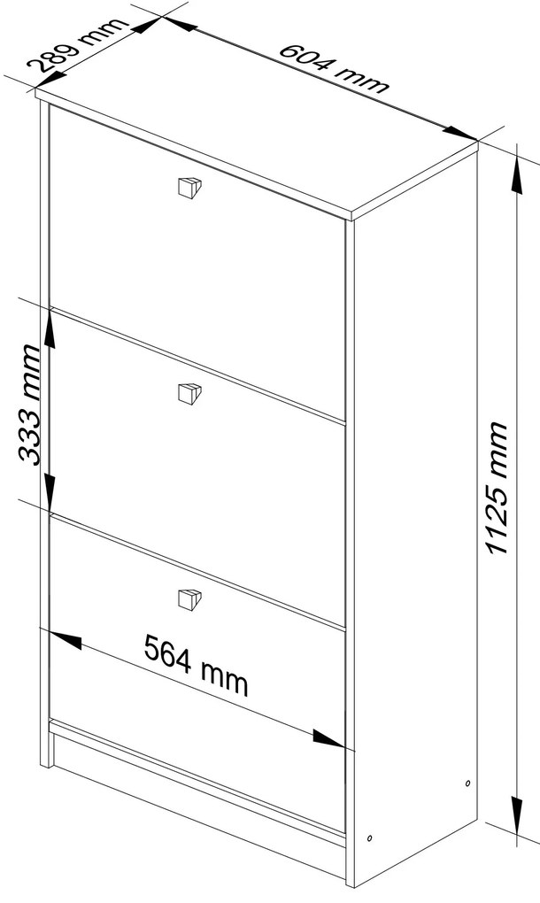 Pantofar Satori (Alb + negru lucios). 1068624