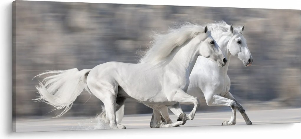 Tablou - Cai albi în timpul iernii (120x50 cm)