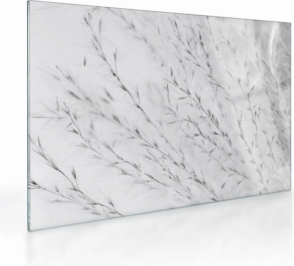 Tablou pe sticlă - Iarbă de pampas N⁰2 (70x50 cm)