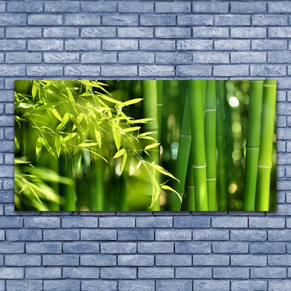 Tablouri acrilice Frunze de bambus verde florale