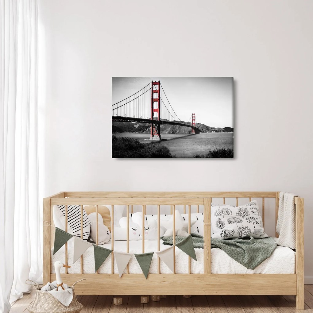 Tablou cu pod (90x60 cm)
