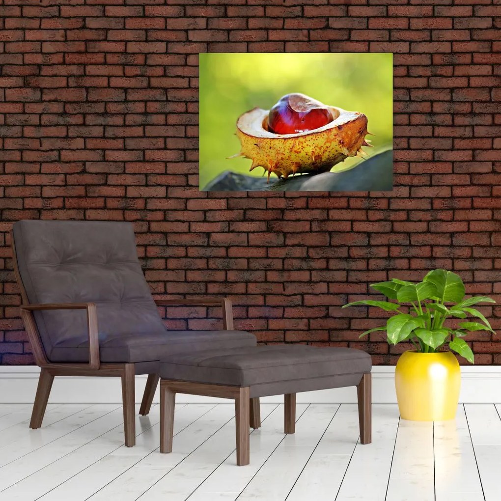 Tablou cu castani (70x50 cm)