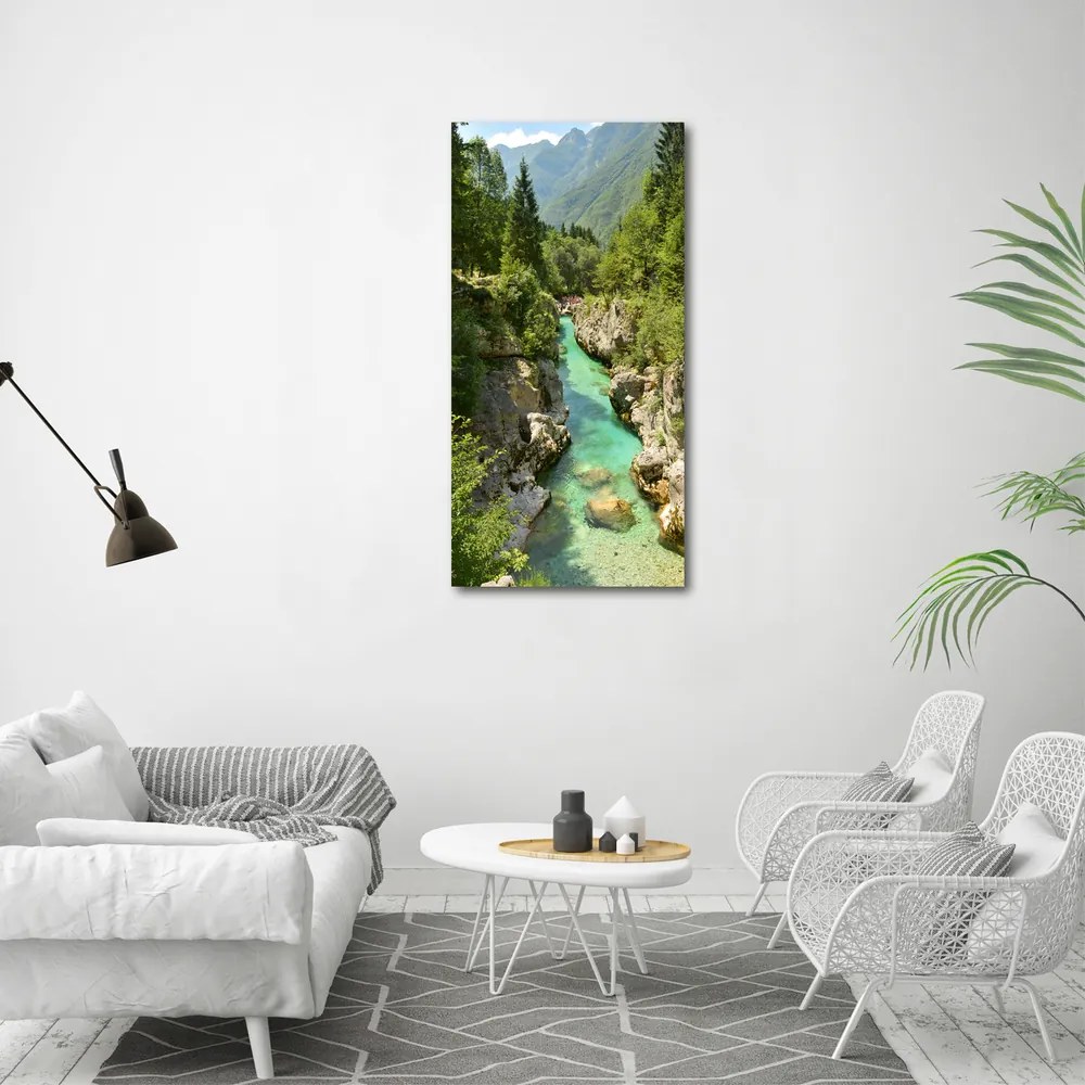 Tablou pe pânză canvas Branhii