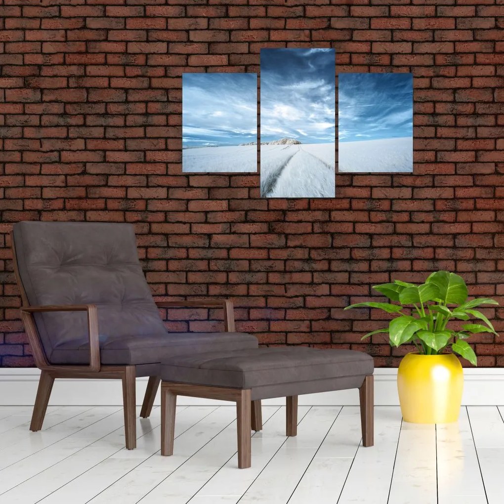 Tablou - Câmp (90x60 cm)