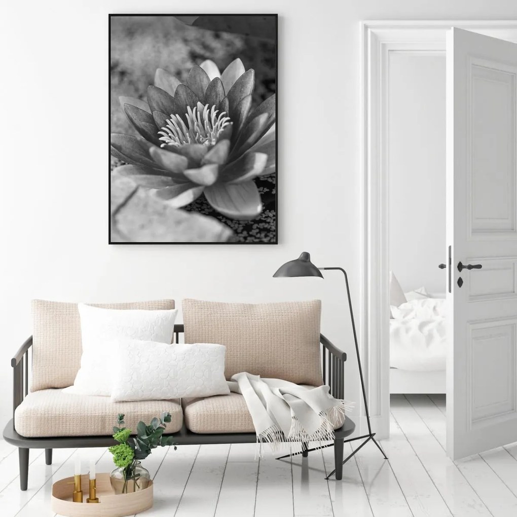 Poster - Nufăr (A4)