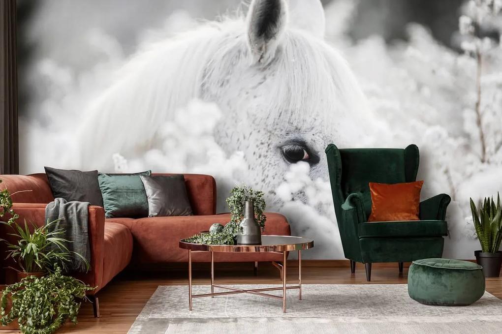 Fototapet - Calul alb pe zăpadă (152,5x104 cm), în 8 de alte dimensiuni noi