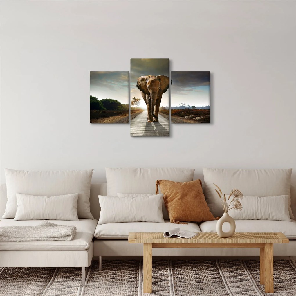 Tablou cu elefant (90x60 cm)