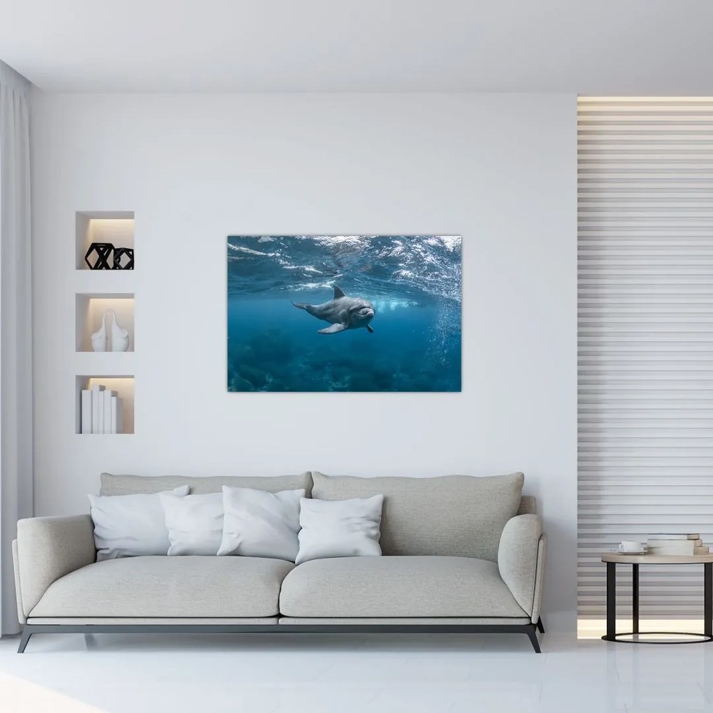 Tablou - Delfin sub apă (90x60 cm)