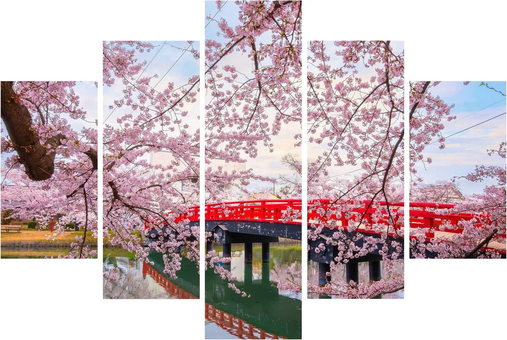 Tablou - Hirosaki, Japonia (150x105 cm)