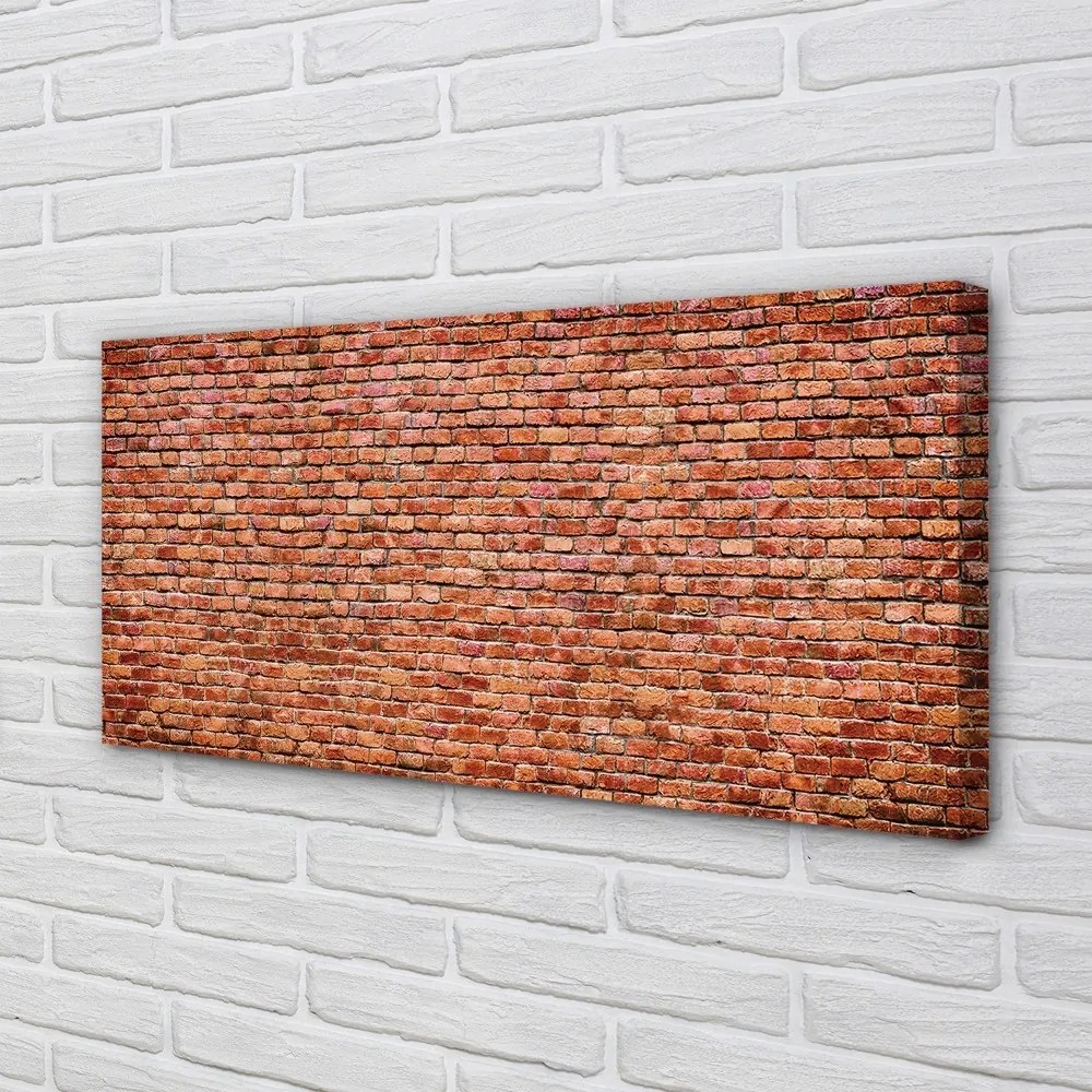 Tablouri canvas Brick perete perete