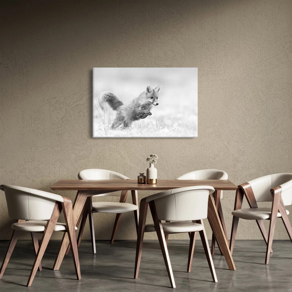 Tablou - Vulpe care sare,alb-negru (90x60 cm)