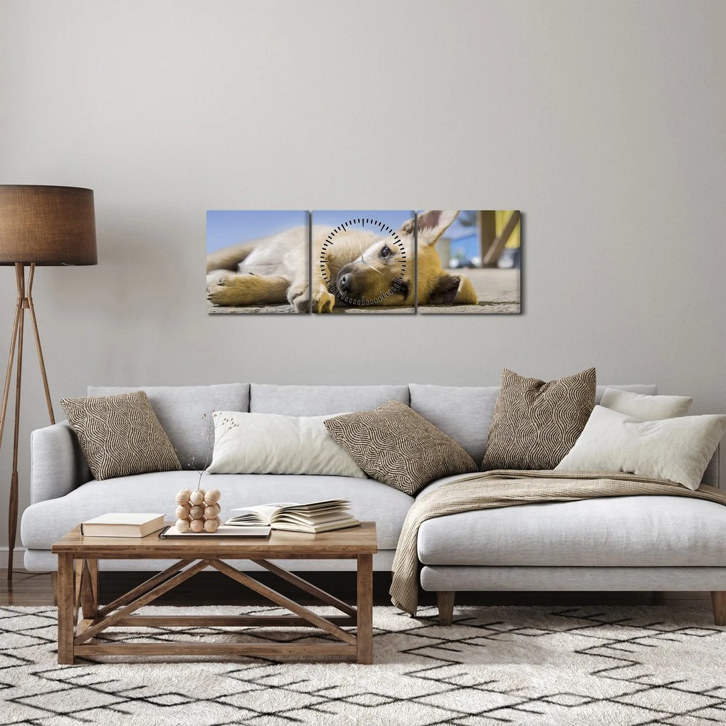 Tablou cu cățeluș dormind (cu ceas) (90x30 cm)