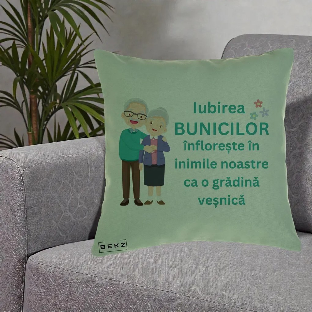 Cadou pentru Bunici - Perna Personalizata Bunicii Iubirea Infloreste Cuplu Senior Teal, 40x40 cm, Verde, Husa Detasabila, Perna Inclusa, BEKZ®