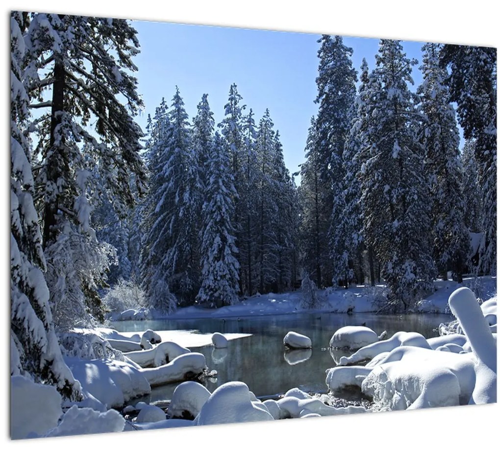 Tablou pădurii înzăpezite (70x50 cm)