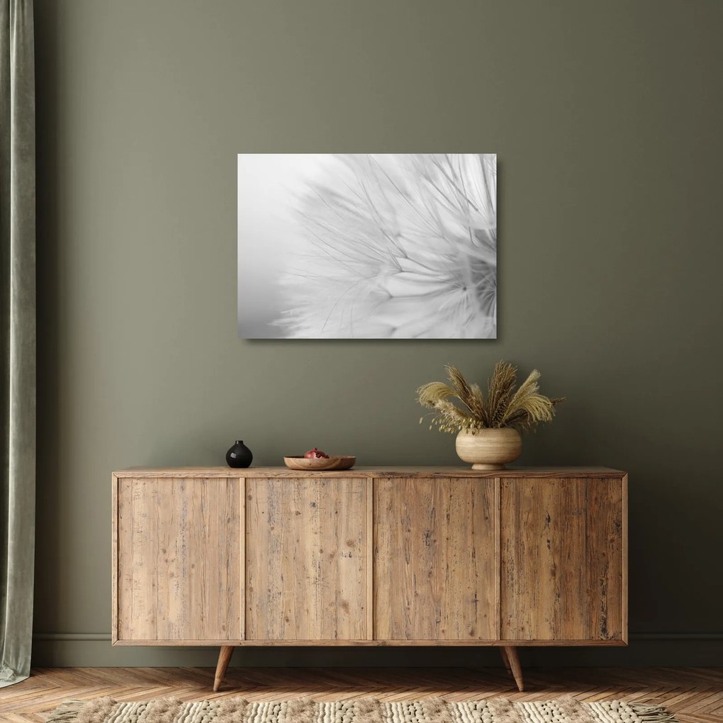 Tablou pe sticlă - Dandelion (70x50 cm)
