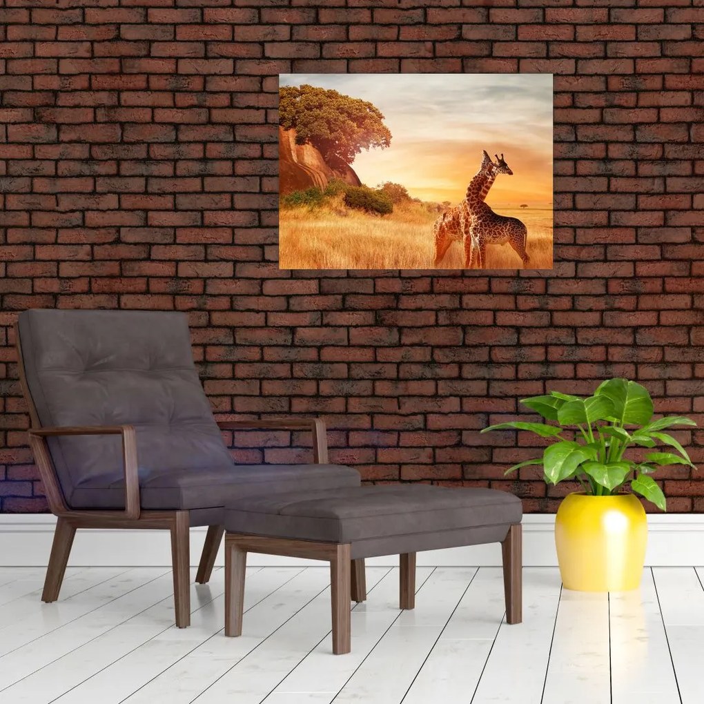 Tablou Girafe în Africa (70x50 cm)